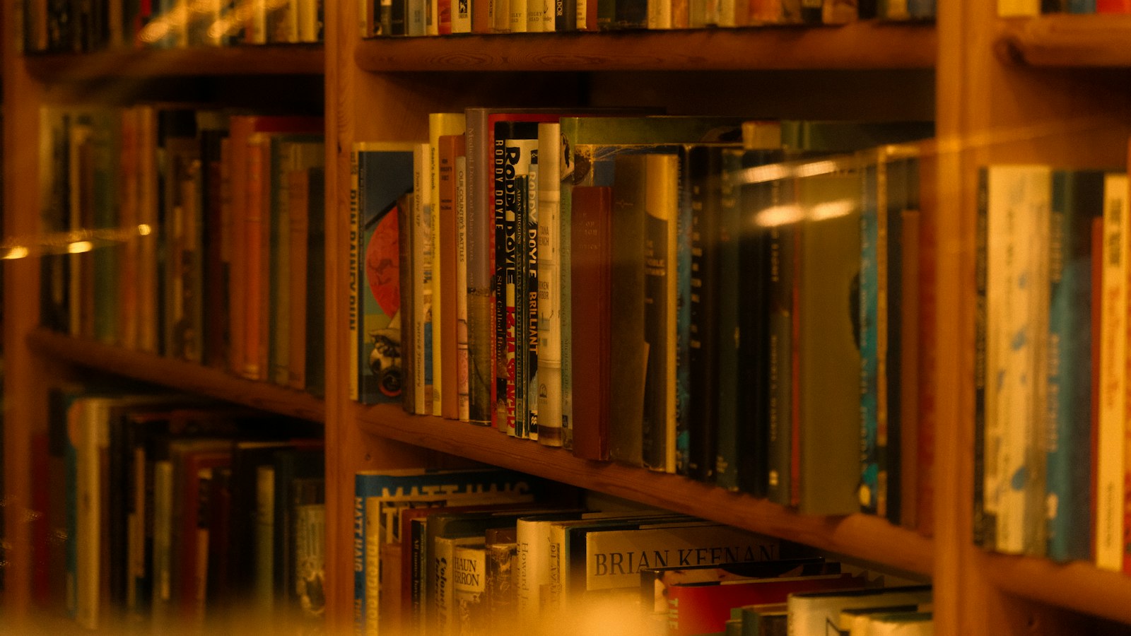 Wooden library shelves filled with rows of books lit by warm light