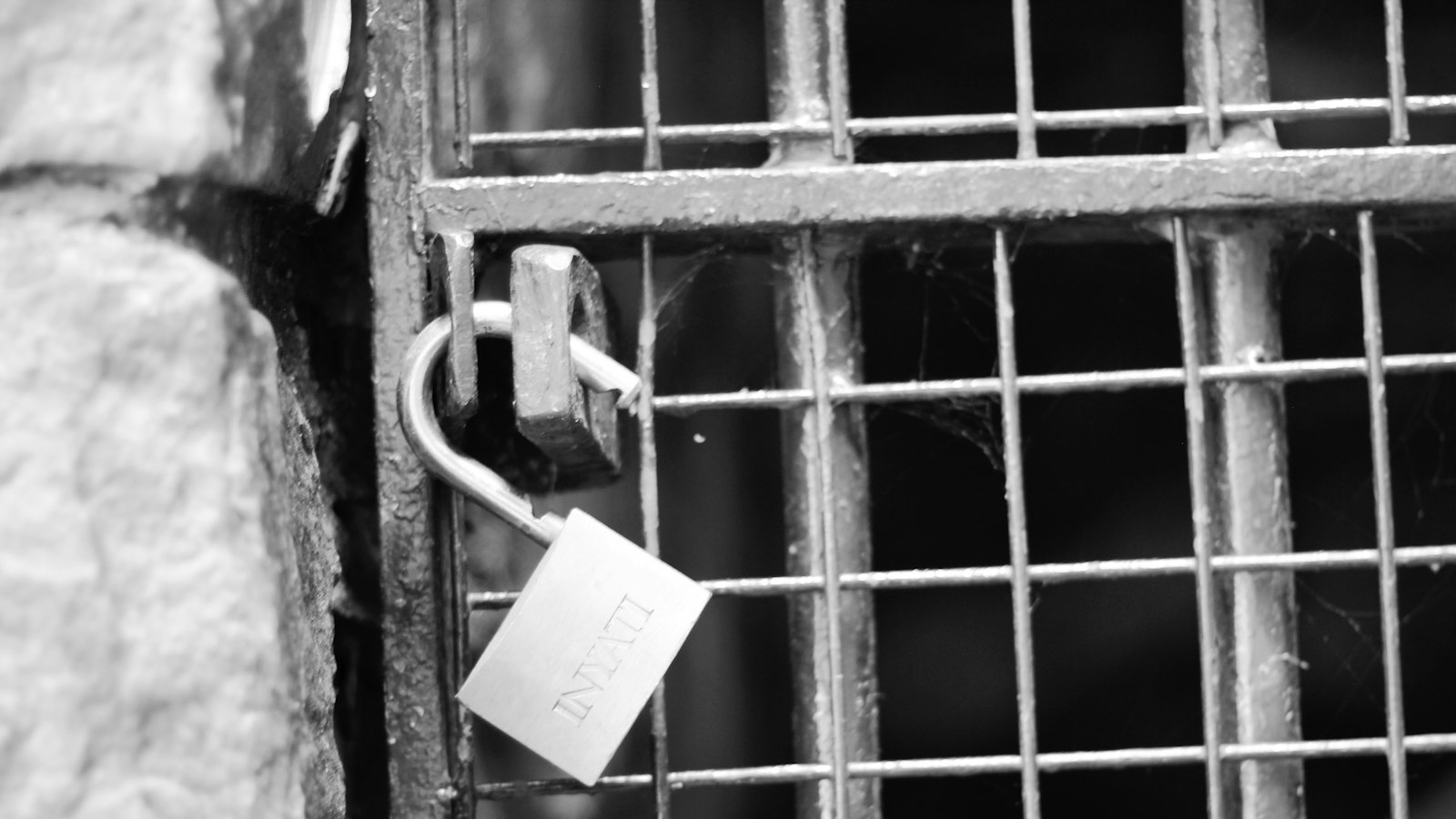 Grayscale photo of a padlock hanging on a metal cage gate
